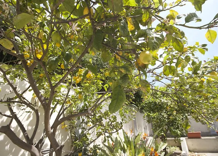 B&B Santa Gilla Cagliari